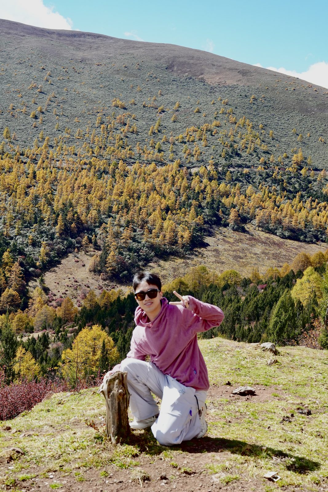 秋色山谷旅行照片